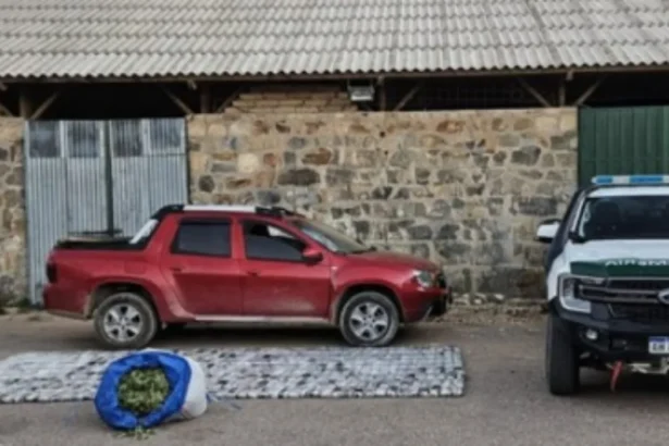 Gendarmería decomisa casi 2 toneladas de coca en operativo fronterizo