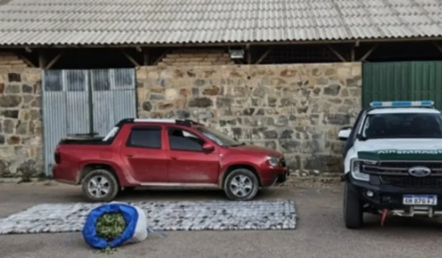 Gendarmería decomisa casi 2 toneladas de coca en operativo fronterizo