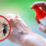 Alerta dengue Jujuy: Máxima vigilancia en San Salvador pese a cero casos