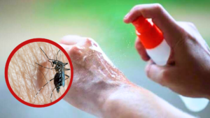 Alerta dengue Jujuy: Máxima vigilancia en San Salvador pese a cero casos