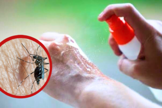 Alerta dengue Jujuy: Máxima vigilancia en San Salvador pese a cero casos