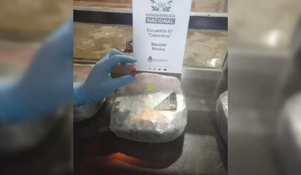 Gendarmería incauta droga en colectivo que partió desde Jujuy hacia Mendoza