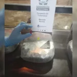 Gendarmería incauta droga en colectivo que partió desde Jujuy hacia Mendoza