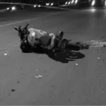 Accidente grave en Perico: pareja requiere internación tras colisión