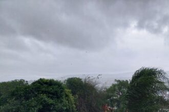 Tormenta destructiva azota Jujuy: reportan temporal con graves consecuencias