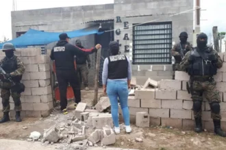 Operativos contra droga Jujuy: incautaron 17 mil dosis en marzo