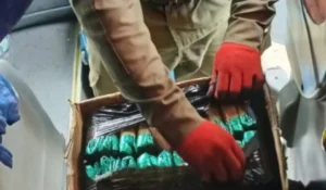 Detienen a dos jujeños con coca en colectivo hacia Mendoza