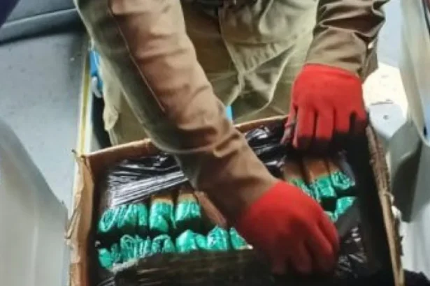 Detienen a dos jujeños con coca en colectivo hacia Mendoza