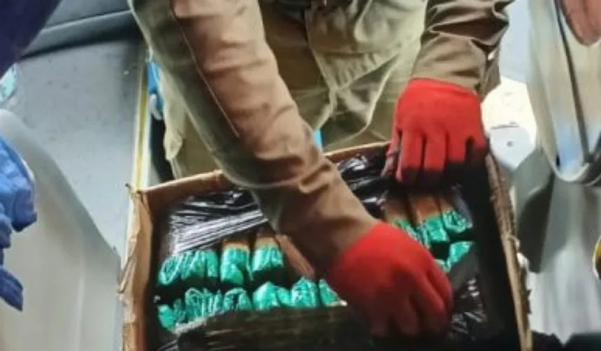 Detienen a dos jujeños con coca en colectivo hacia Mendoza