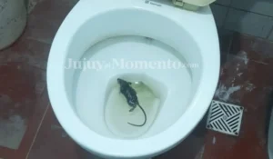 Denuncian condiciones alarmantes en la Seccional Nº 55 de Los Perales