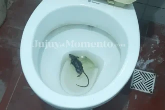 Denuncian condiciones alarmantes en la Seccional Nº 55 de Los Perales