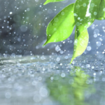 Persiste la inestabilidad climática en San Salvador de Jujuy