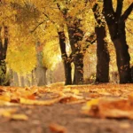 Pronóstico de otoño en Jujuy: Temperaturas elevadas y precipitaciones superiores a lo normal