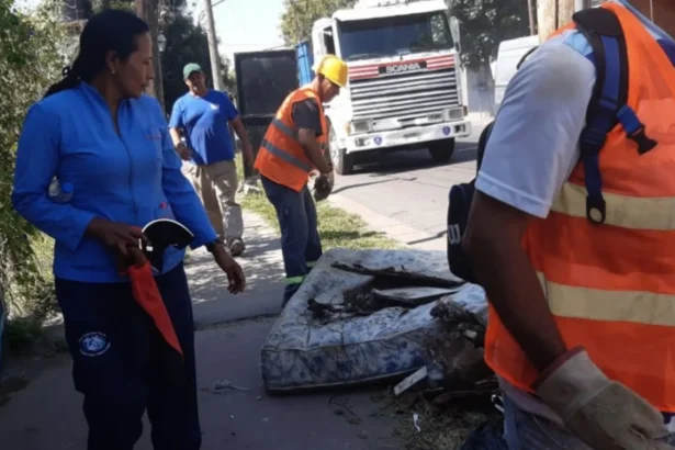 Autoridades sanitarias instan al descacharrado tras tormentas para prevenir el dengue