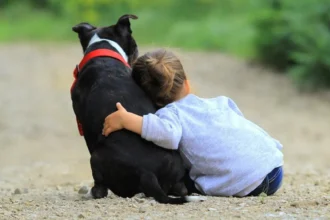 Carnaval de Mascotas Jujuy: Jornada con vacunación y castraciones gratuitas