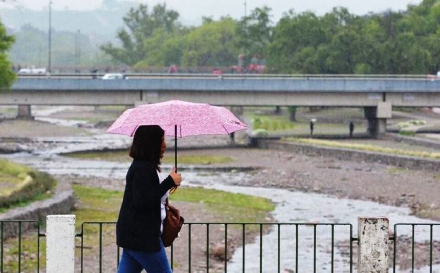 Lluvias intensas Jujuy: vías cortadas y vegetación derribada