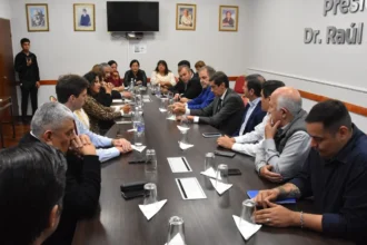 Sadir y Bernis debaten minería y municipalización de Alto Comedero con diputados