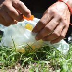 Detectan el primer contagio de chikungunya en territorio jujeño