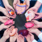 Jujuy encabeza la donación de órganos en Argentina con tasa de 8,72 por millón