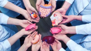 Jujuy encabeza la donación de órganos en Argentina con tasa de 8,72 por millón