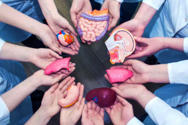 Jujuy encabeza la donación de órganos en Argentina con tasa de 8,72 por millón