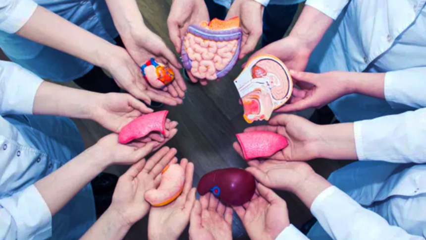 Jujuy encabeza la donación de órganos en Argentina con tasa de 8,72 por millón