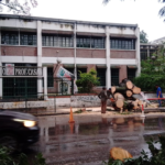 Un árbol de gran tamaño derribó las instalaciones del Comercial 1 en San Salvador de Jujuy