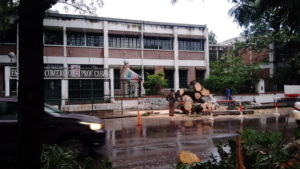 Un árbol de gran tamaño derribó las instalaciones del Comercial 1 en San Salvador de Jujuy
