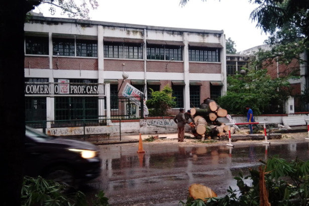 Un árbol de gran tamaño derribó las instalaciones del Comercial 1 en San Salvador de Jujuy