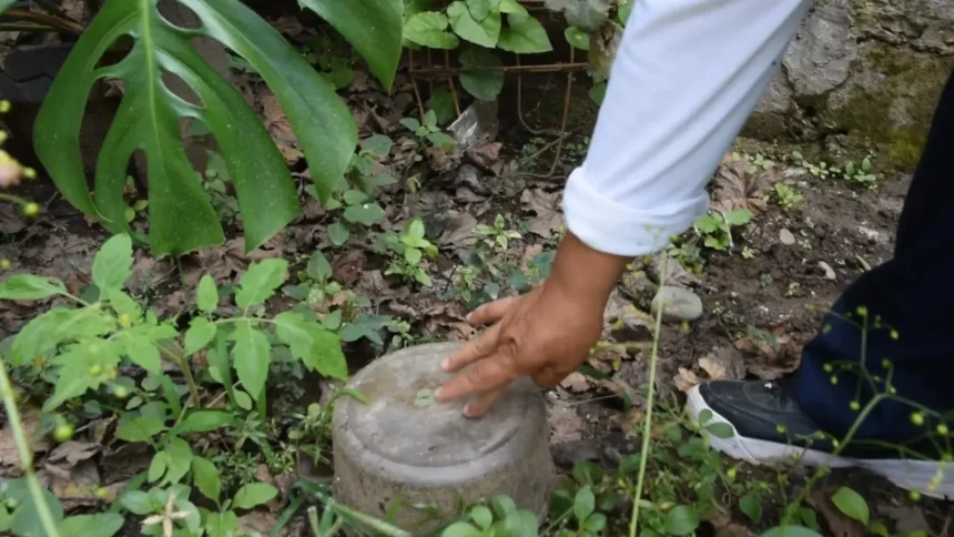 Prevención de dengue y Chikungunya: Cronograma de descacharrado para esta semana