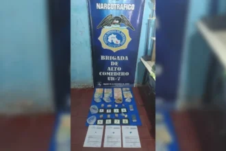 Desmantelamiento de búnker de drogas: operaban desde una carnicería en Alto Comedero