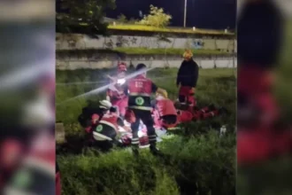 Un niño cayó seis metros en una cámara séptica tapada con cartón