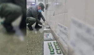 Detienen a capsuleras con cocaína que partieron desde Jujuy hacia Mendoza
