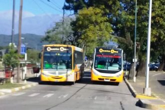 Servicios con atención especial durante el feriado de marzo en San Salvador