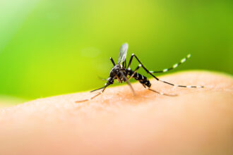 Jujuy registra el primer caso confirmado de Chikungunya en 2026