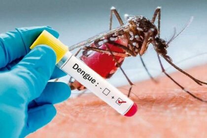 Jujuy registra tres nuevos casos de dengue en la provincia