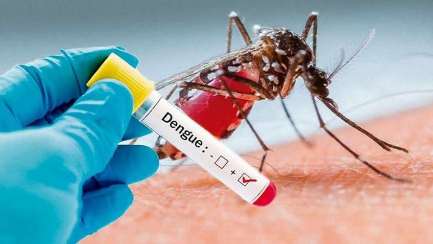 Jujuy registra tres nuevos casos de dengue en la provincia