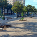 La Glorieta de Plaza Belgrano será reinaugurada con espectáculo este domingo
