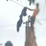 Intervención policial evitó intento de suicidio en San Francisco de Álava