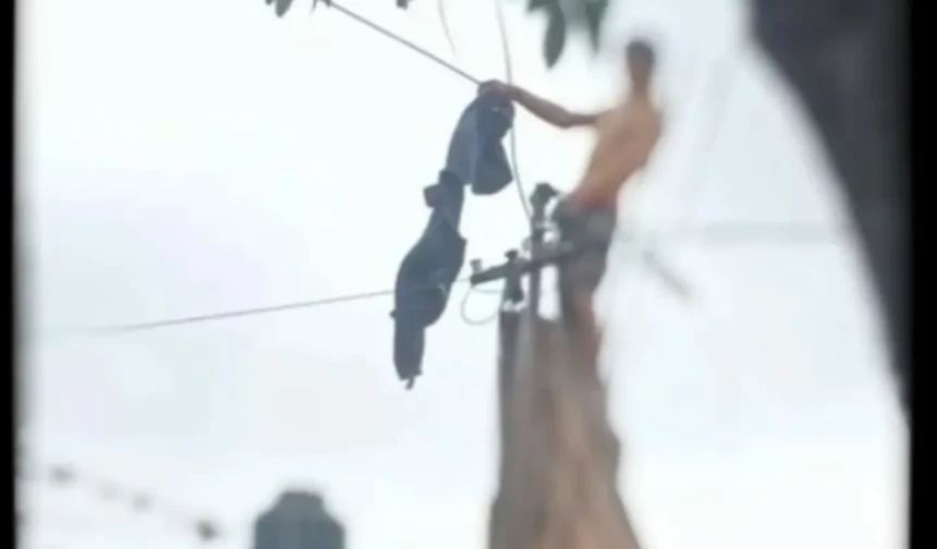 Intervención policial evitó intento de suicidio en San Francisco de Álava