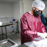 Quirófano móvil y vacunación de mascotas en San Salvador de Jujuy