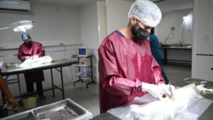 Quirófano móvil y vacunación de mascotas en San Salvador de Jujuy