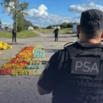 Desarticulan organización narcocriminal: decomisan más de 150 kilos de droga en el NOA