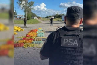 Desarticulan organización narcocriminal: decomisan más de 150 kilos de droga en el NOA