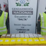 Gendarmería decomisó cocaína en dos colectivos que salieron de Jujuy hacia Salta