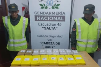 Gendarmería decomisó cocaína en dos colectivos que salieron de Jujuy hacia Salta
