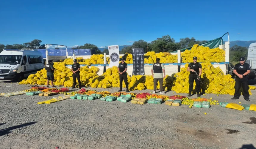 Prisión preventiva para acusados de banda narcocriminal que traficaba drogas en camiones de fruta