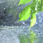 Lluvias y tormentas en Jujuy durante el fin de semana