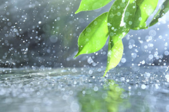 Lluvias y tormentas en Jujuy durante el fin de semana