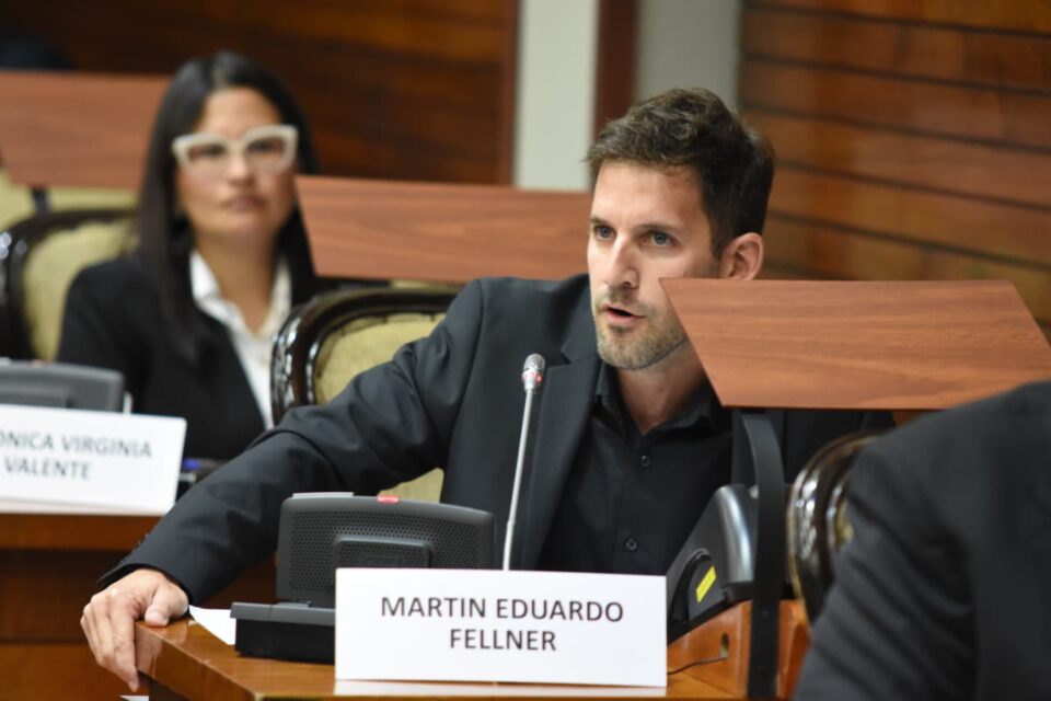 Fellner respalda el régimen de grandes inversiones pero cuestiona exclusión de Pymes